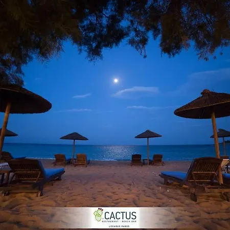 Cactus Paros Gæstehus Logaras