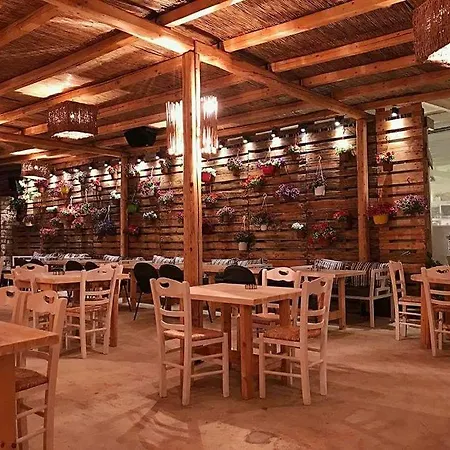 Cactus Paros Gæstehus Logaras