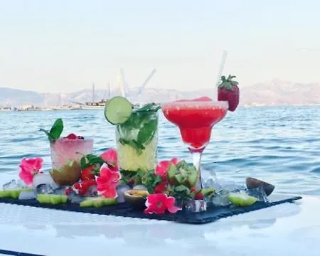 Gæstehus Cactus Paros Logaras