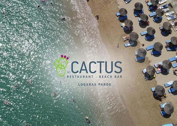 Πανσιόν Cactus Paros 3*
