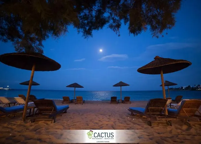 Cactus Paros ゲストハウス ロガラス