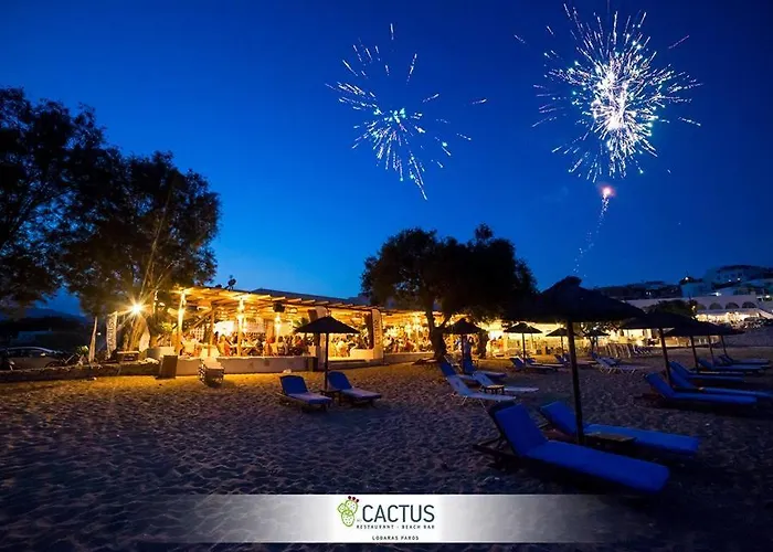 Cactus Paros Πανσιόν 3*
