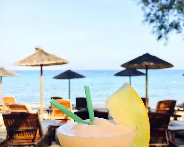 Cactus Paros Λογαράς